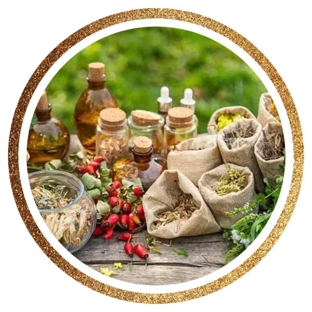 Medicinal Herbs — Various Medicinal Plants