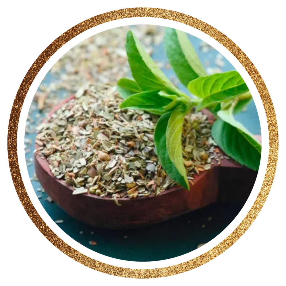 Tulsi — Ocimum tenuiflorum