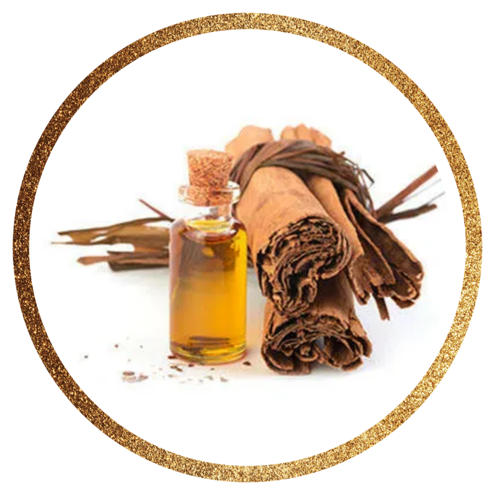 Cinnamon Bark Oil — Cinnamomum verum