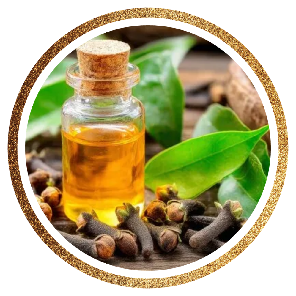 Clove Leaf Oil — Syzygium aromaticum