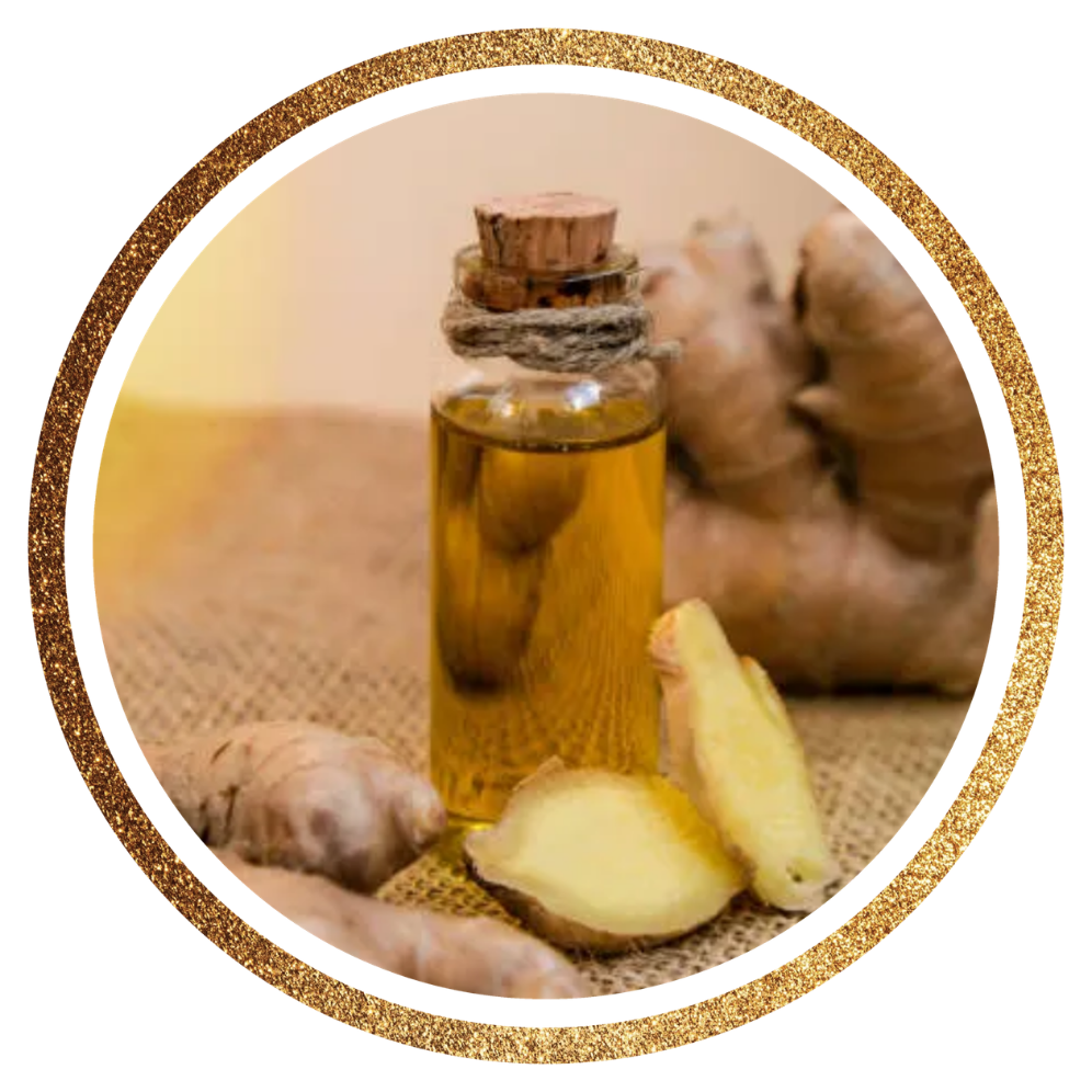 Ginger Oil — Zingiber officinale