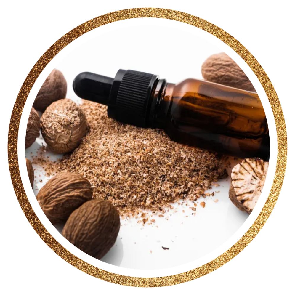 Nutmeg Oil — Myristica fragrans