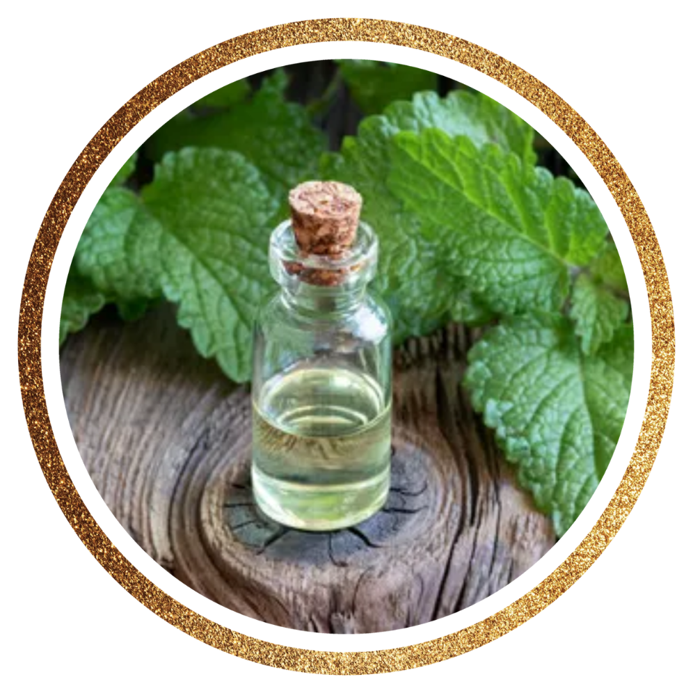 Patchouli Oil — Pogostemon cablin