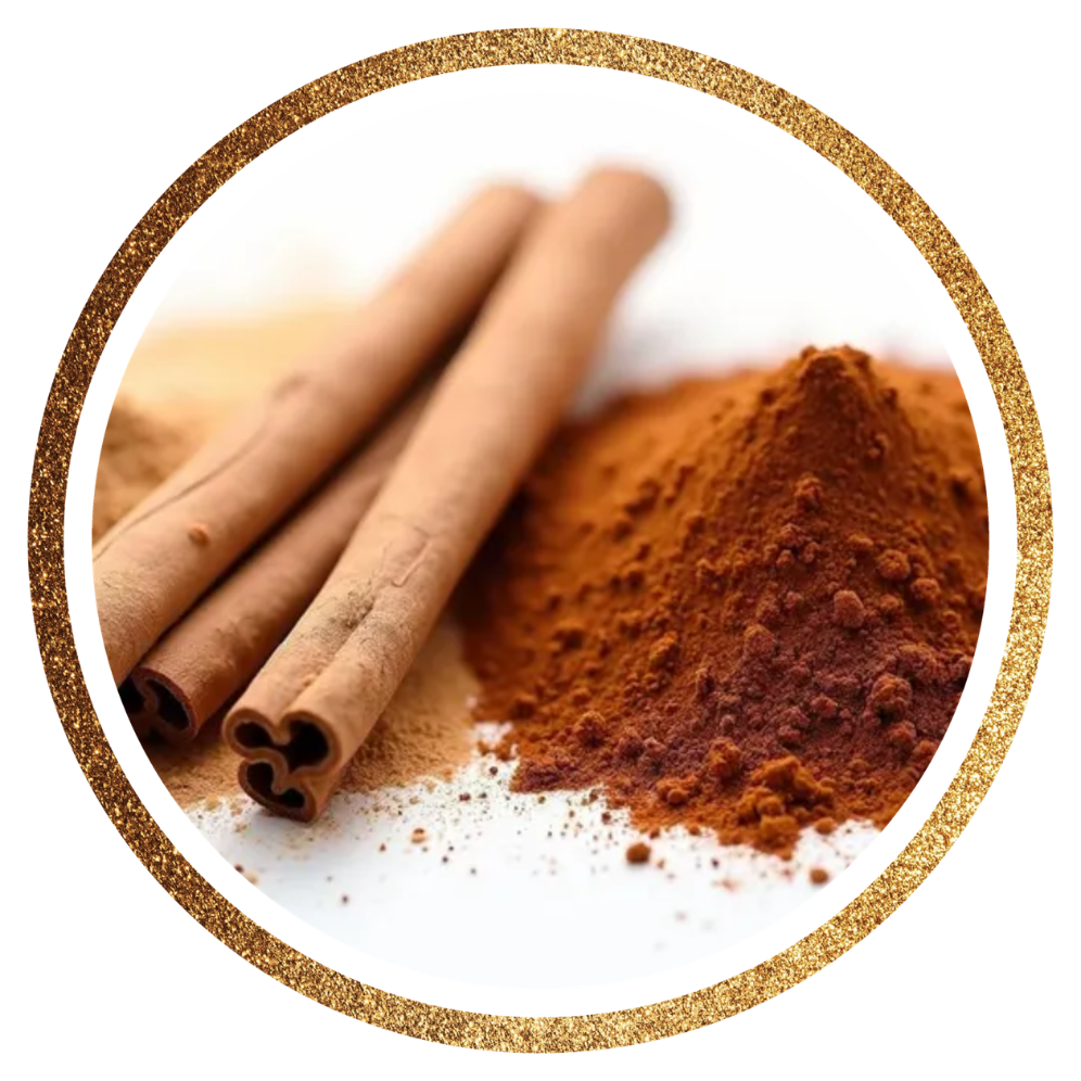 Ceylon Cinnamon — Cinnamomum verum