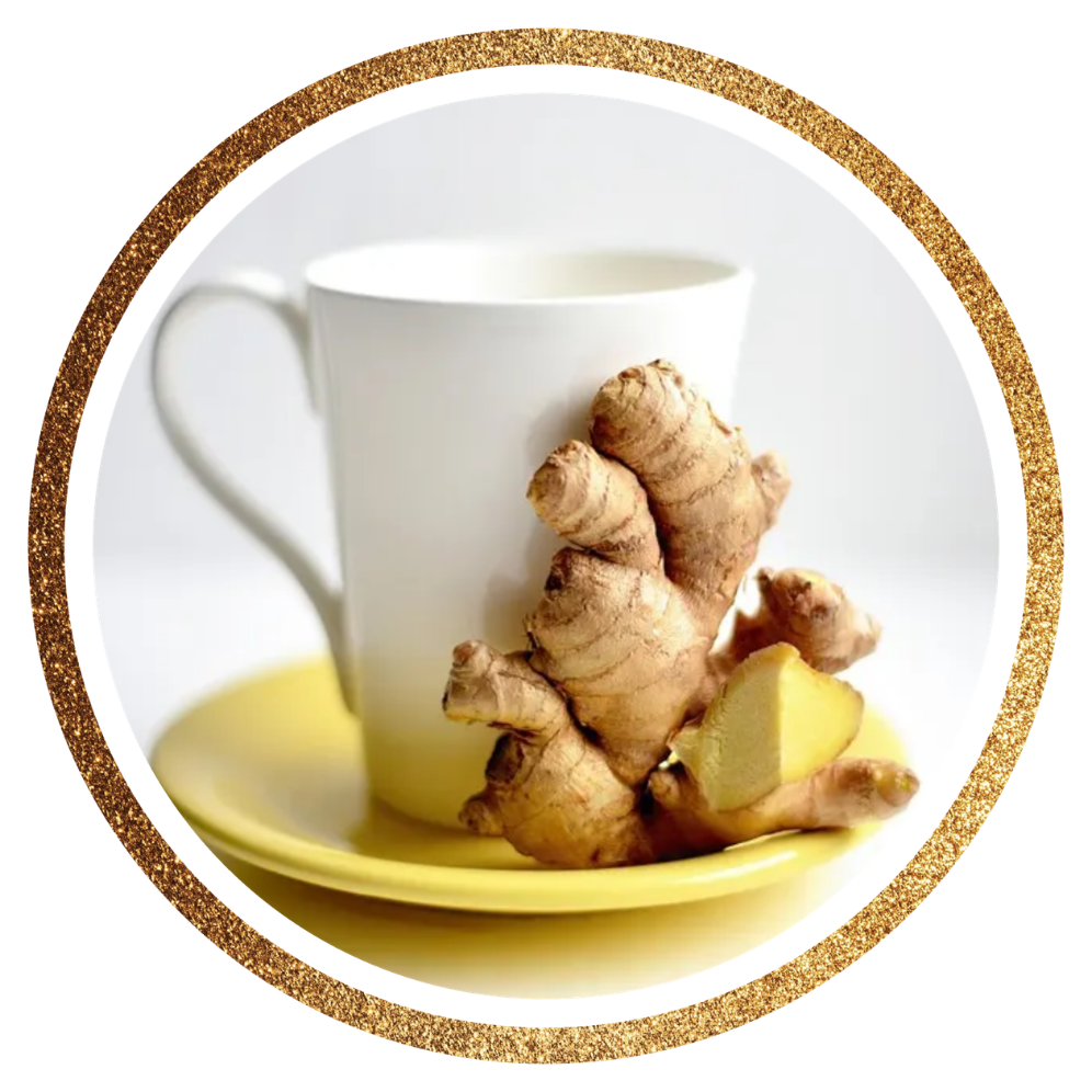 Ginger — Zingiber officinale