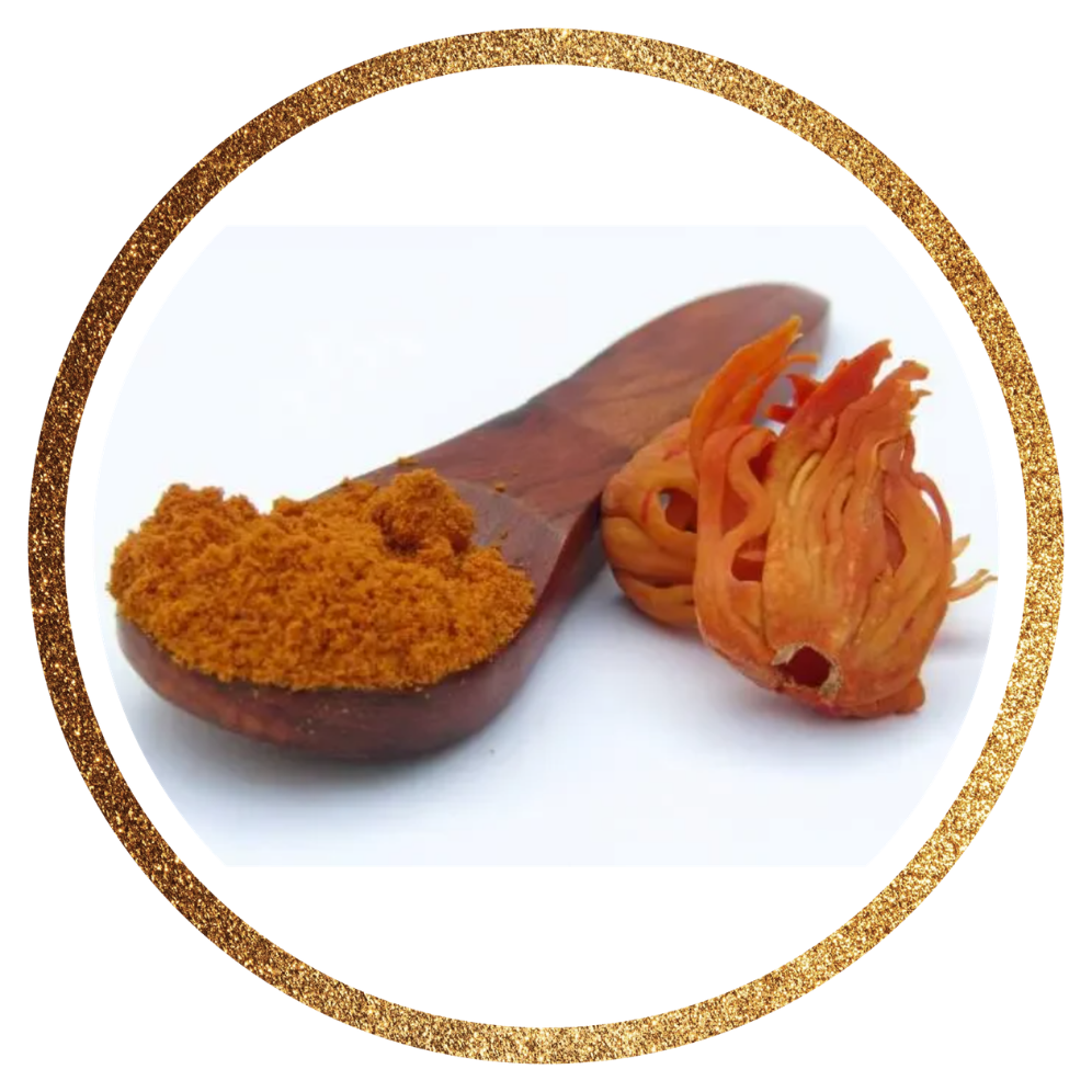 Mace — Myristica fragrans