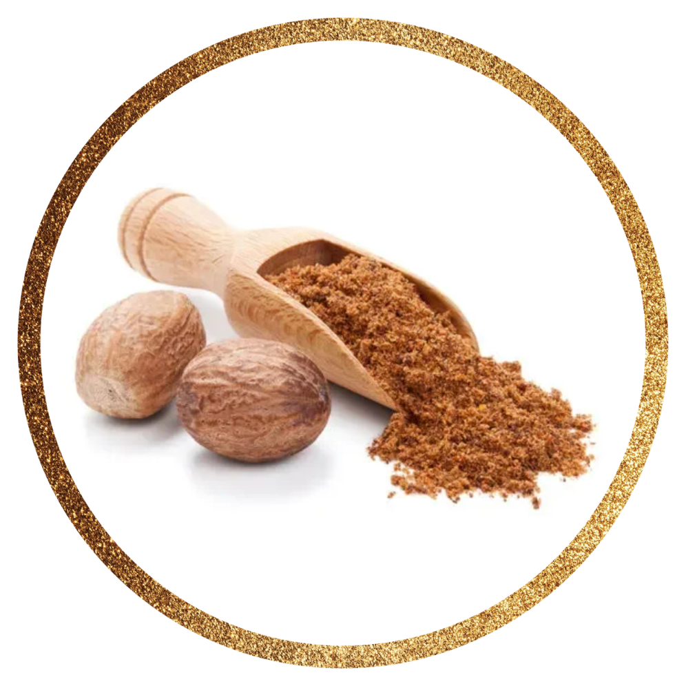 Nutmeg — Myristica fragrans