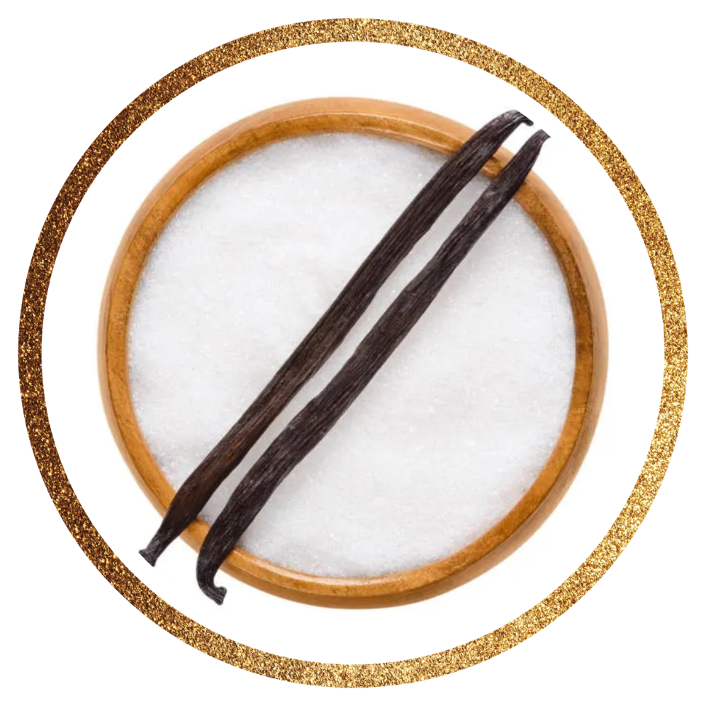 Vanilla — Vanilla planifolia