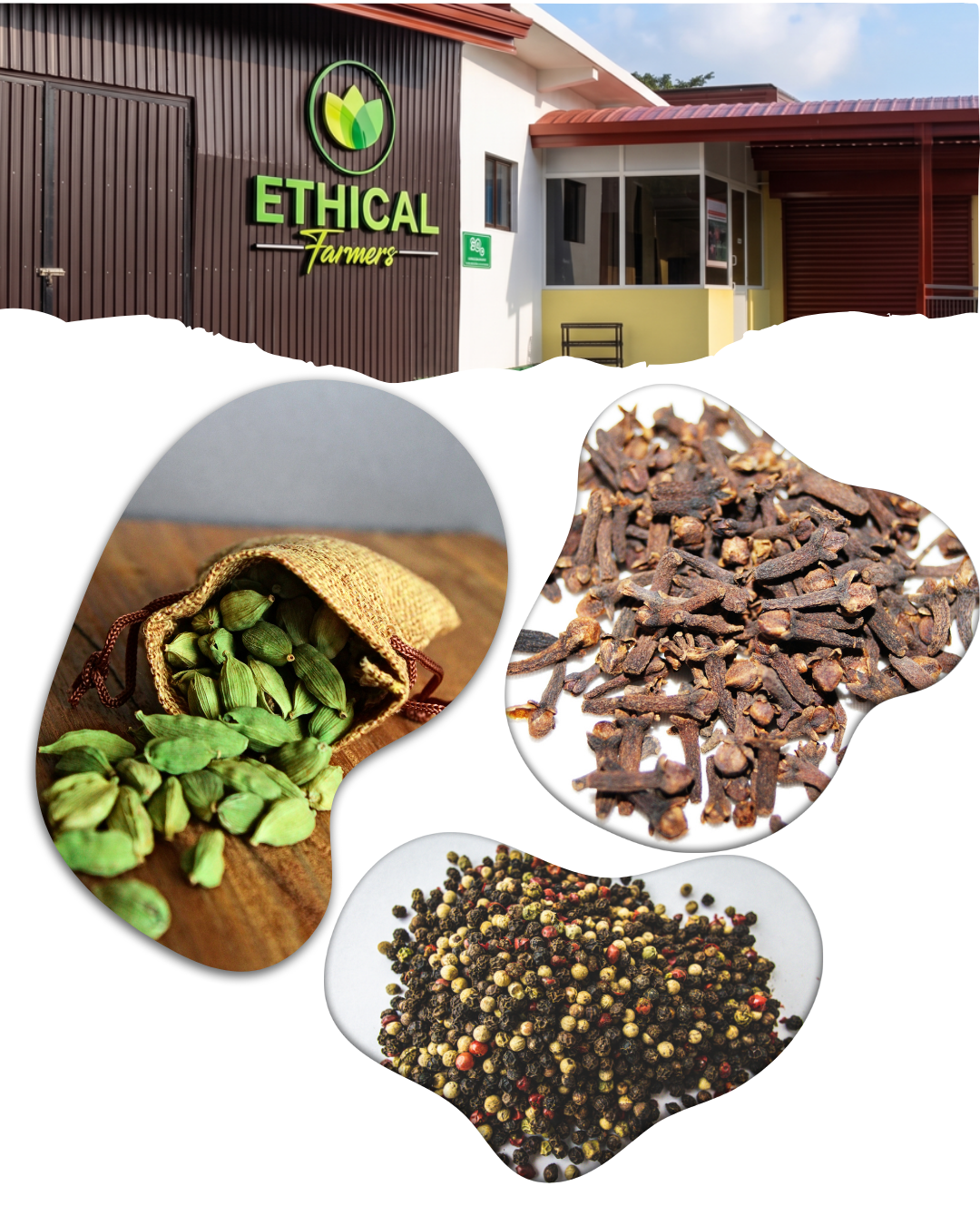 Ethical Farmers Story